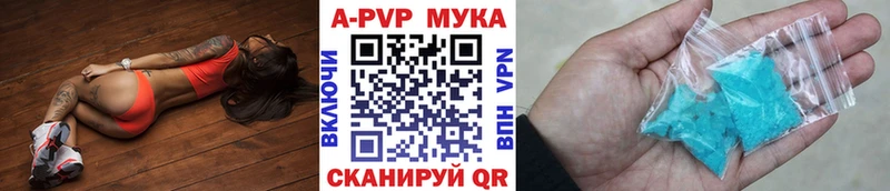A-PVP СК КРИС  Пошехонье 